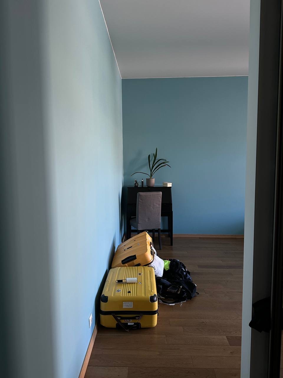 Img 8943