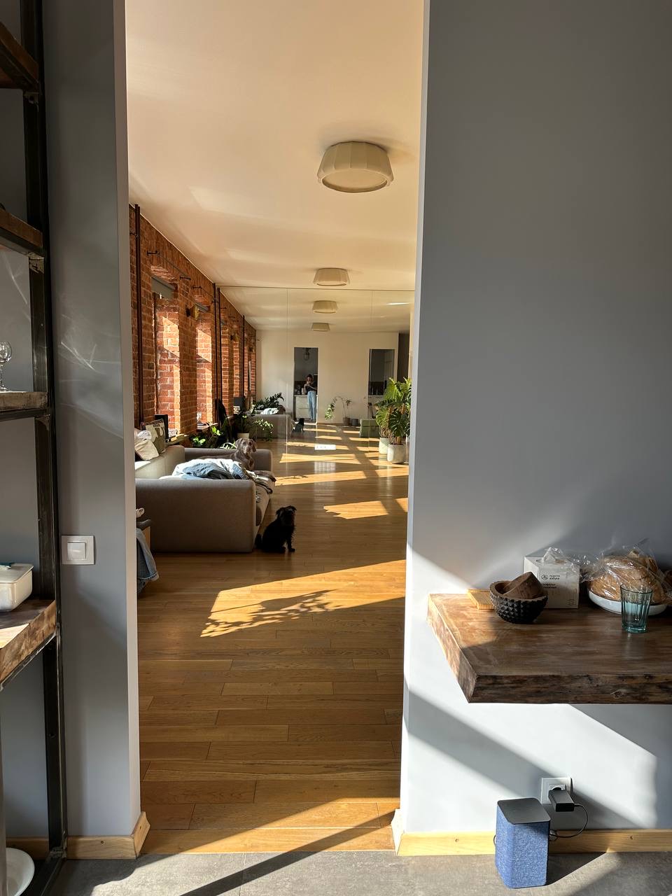 Img 8945