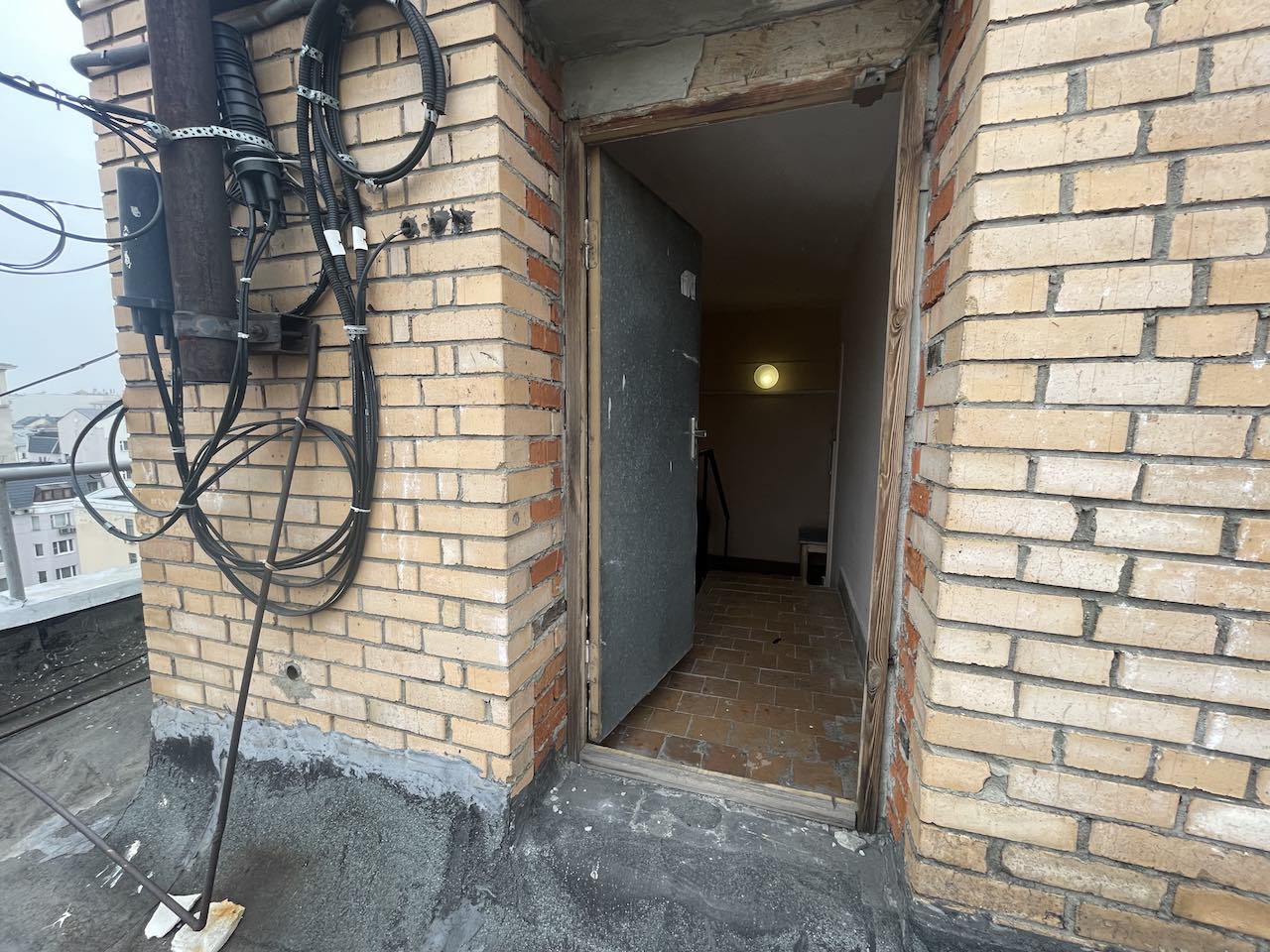 Копия img 6553
