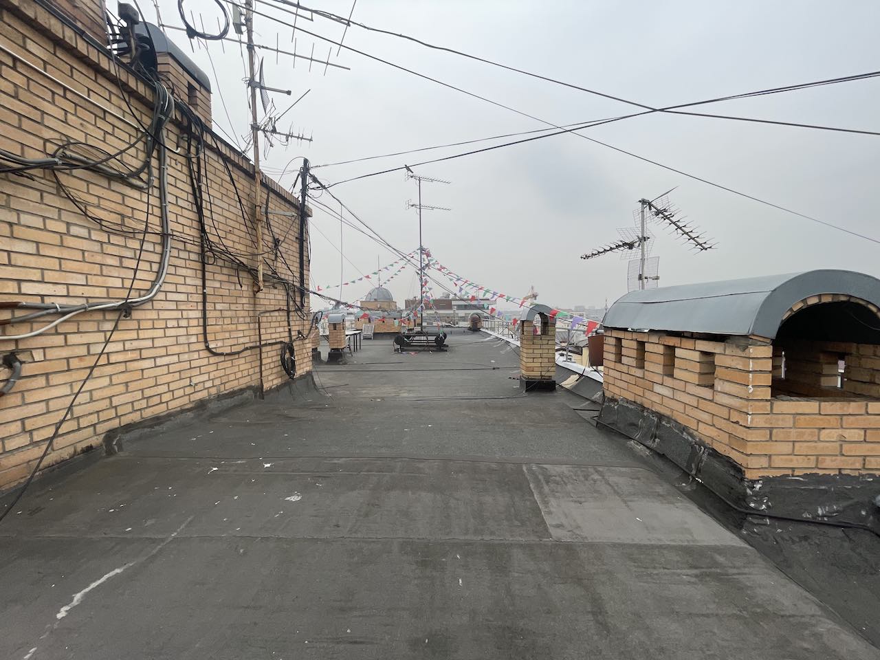 Копия img 6554
