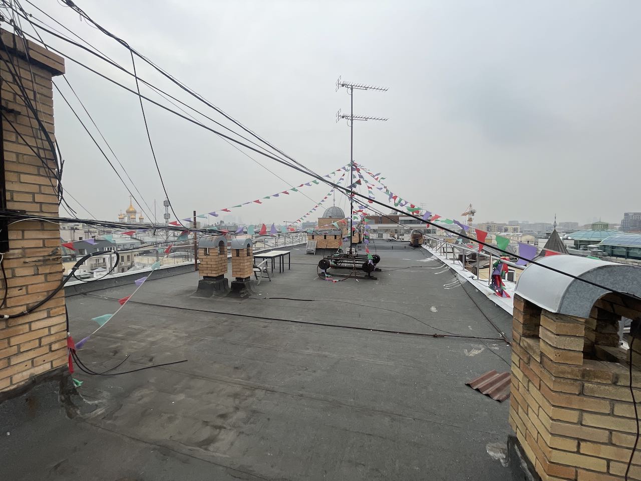 Копия img 6555