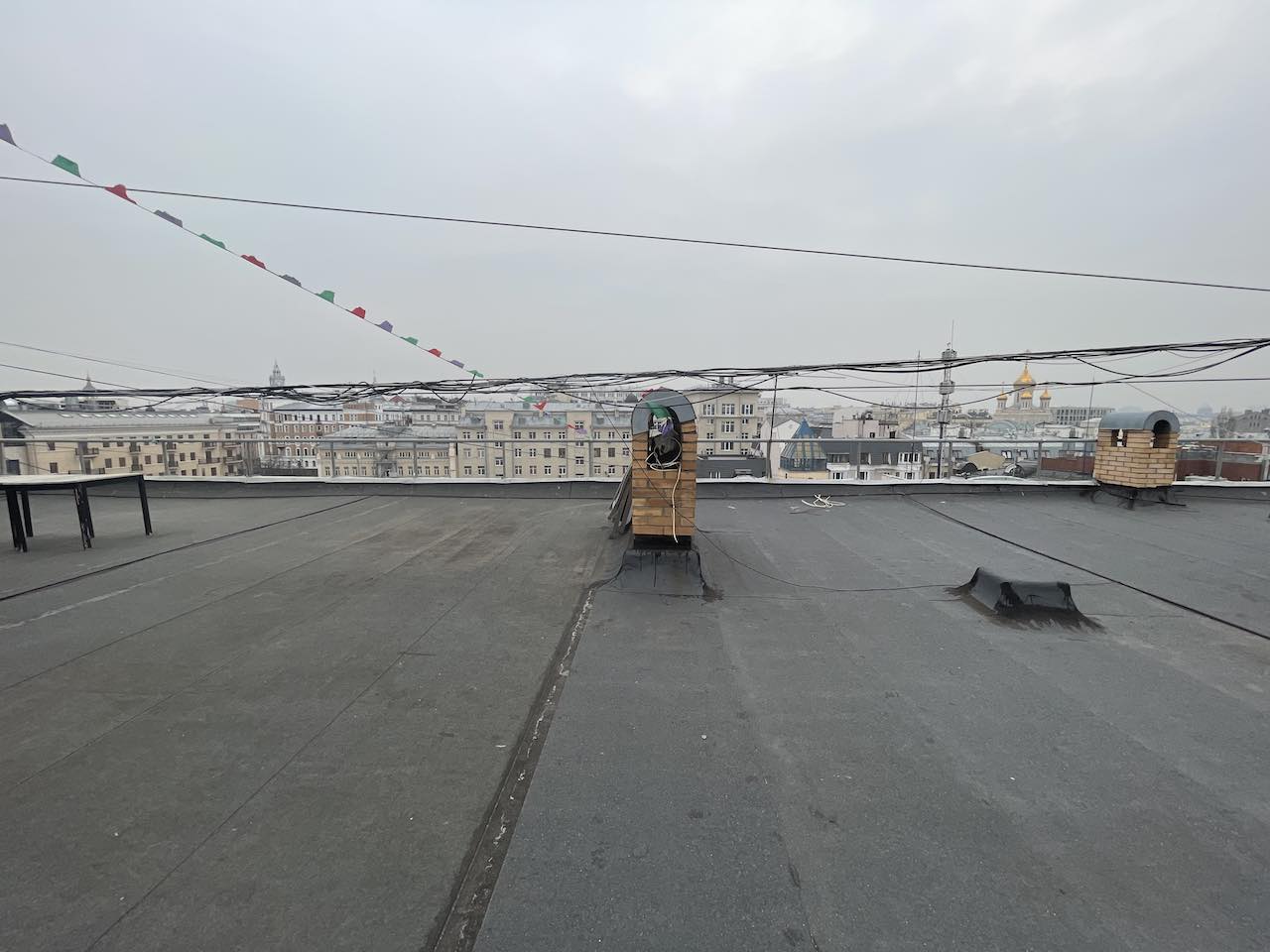 Копия img 6560