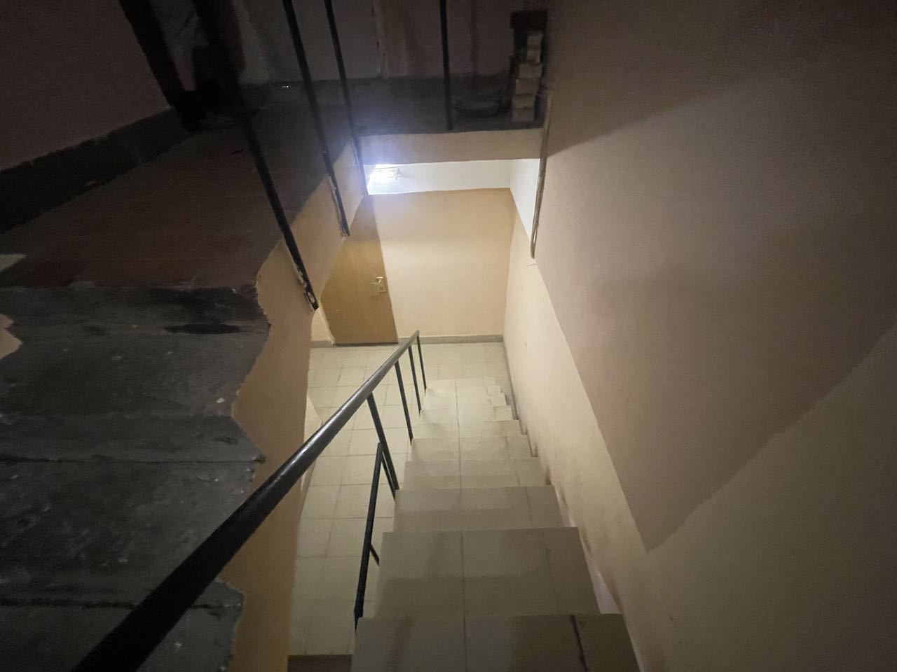 Копия img 6566
