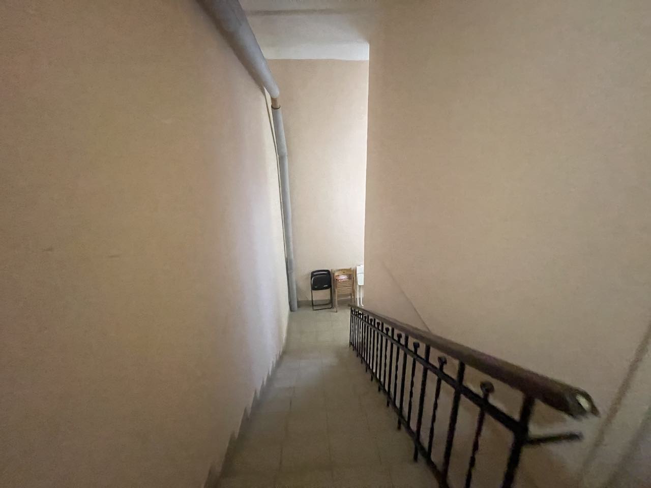 Копия img 6567