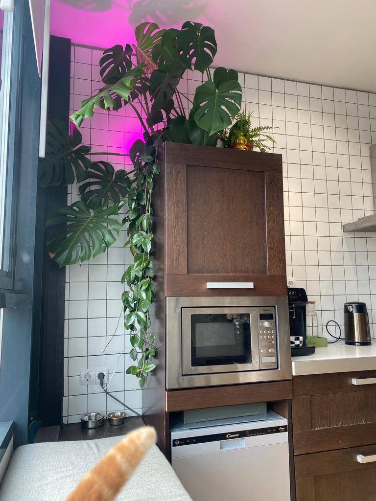 Photo 2024 12 14 12.10.13 768x1024